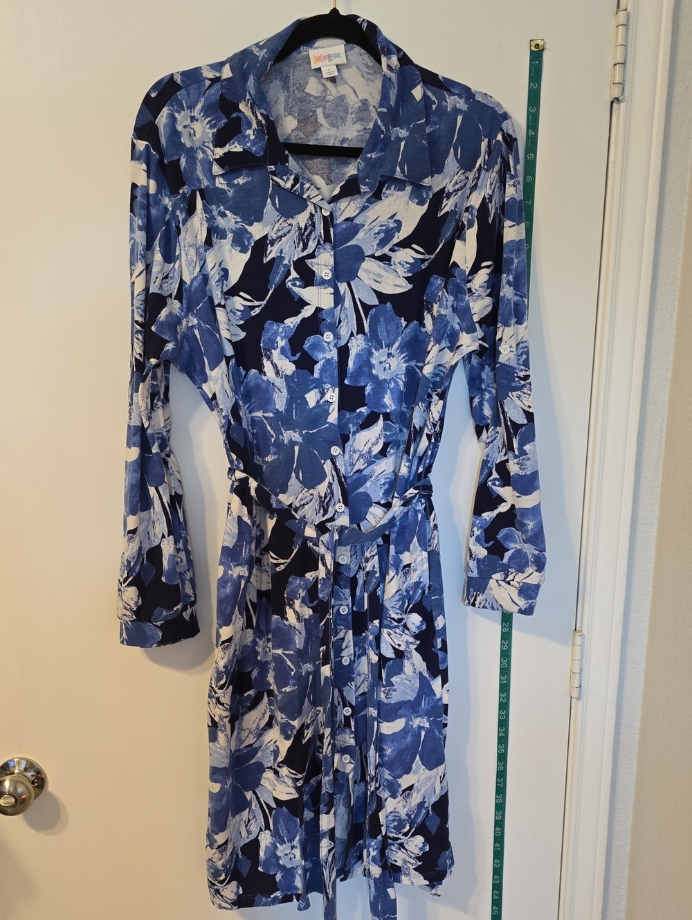 LuLaRoe Blue and White Floral Long-Sleeve Button Dress
